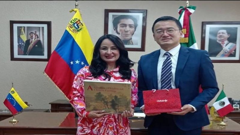 Embajadora de Venezuela en México sostuvo encuentro con encargado de negocios de China