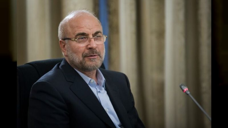 Parlamento iraní llama a musulmanes a unirse para detener genocidio en Gaza