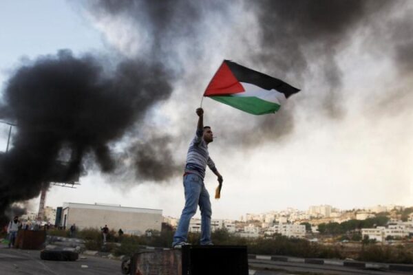 Ocho ciudadanos palestinos fueron asesinados por Israel mientras esperaban ayuda humanitaria Ocho ciudadanos palestinos fueron asesinados por Israel mientras esperaban ayuda humanitaria