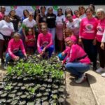 Germinaron 100 semillas de Araguaney para la reforestación en Aragua – Últimas Noticias