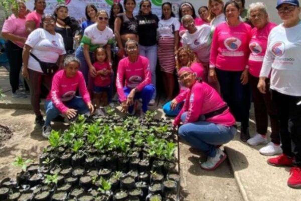 Germinaron 100 semillas de Araguaney para la reforestación en Aragua – Últimas Noticias Germinaron 100 semillas de Araguaney para la reforestación en Aragua - Últimas Noticias
