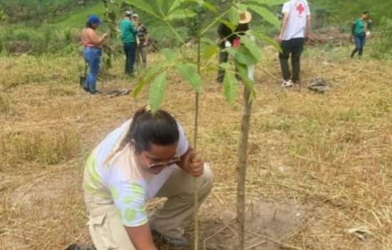 Con la siembra de 100 árboles inició Plan de Reforestación en Aragua – Últimas Noticias Con la siembra de 100 árboles inició Plan de Reforestación en Aragua - Últimas Noticias